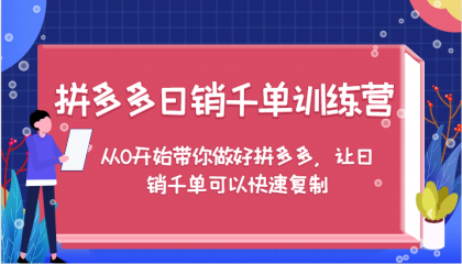 拼多多日销千单训练营，从0开始带你做好拼多多，让日销千单可以快速复制（更新）-颜夕资源网-第14张图片