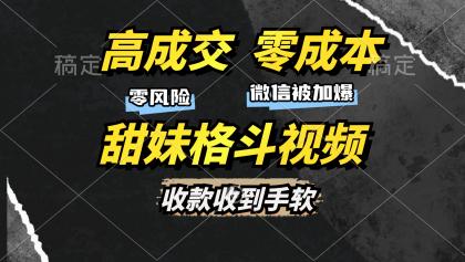 高成交零成本，售卖甜妹格斗视频，谁发谁火，加爆微信，收款收到手软-颜夕资源网-第14张图片