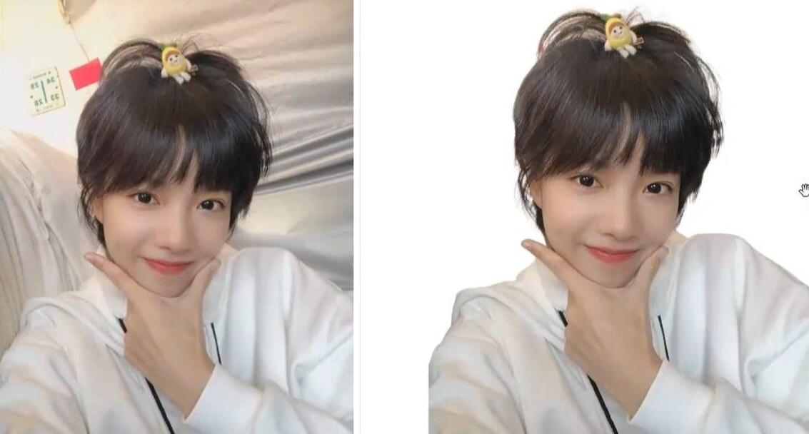 RMBG-2-Studio V2.0 抠图工具，支持批处理，毛发丝轻松扣-颜夕资源网-第13张图片