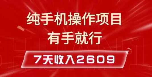 纯手机操作的小项目，有手就能做，7天收入2609+实操教程-颜夕资源网-第14张图片