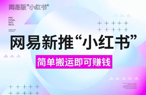 网易“小红书”版，搬运即有收益，新手小白千万别错过(附详细教程)-颜夕资源网-第14张图片