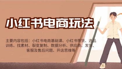 小红书电商玩法：带货/选品/找素材/裂变/数据分析/供应商/发货/售后/开店思维等-颜夕资源网-第14张图片