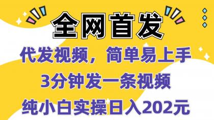 代发视频，简单易上手 3分钟发一条视频 纯小白实操日入202元-颜夕资源网-第14张图片