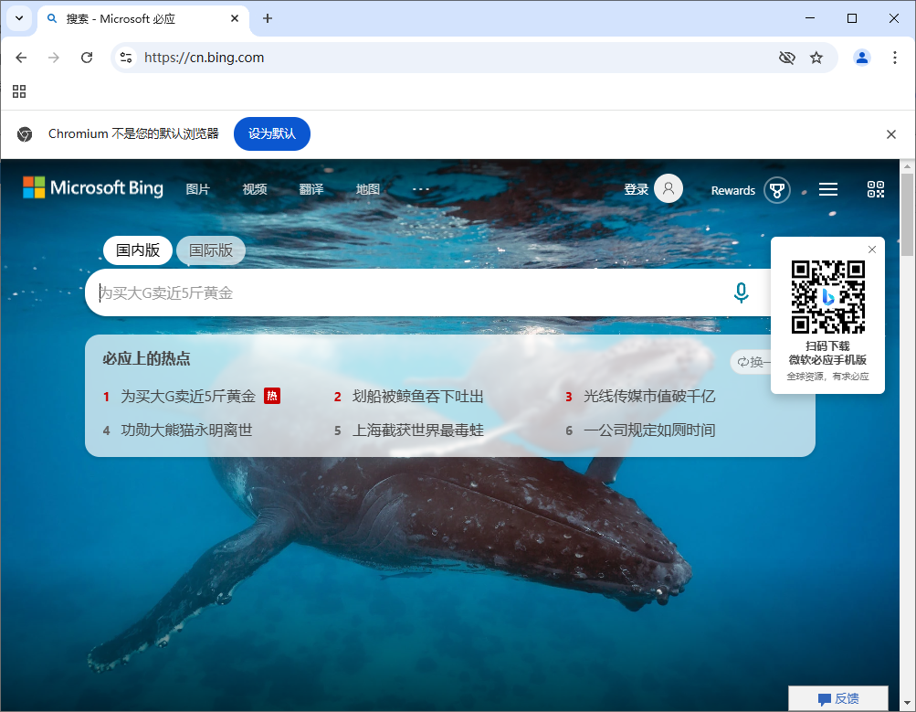 Ungoogled-Chromium v133.0.6943.98-1.1 中文绿色版-颜夕资源网-第14张图片
