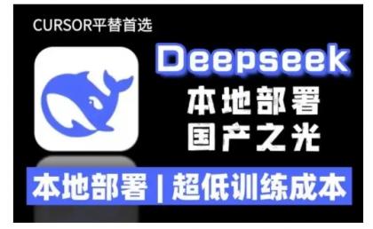2025年deepseek R1 大型模型当地部署应用(文档 实例教程)本地部署，极低练习成本费-颜夕资源网-第14张图片