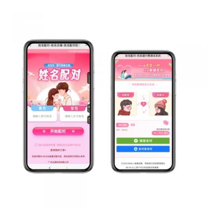 2025姓名配对测算最新源码-颜夕资源网-第14张图片