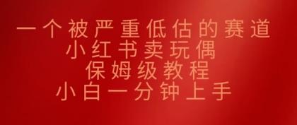 一个被严重低估的赛道，小红书的卖公仔，家庭保姆级实例教程，小白一min入门-颜夕资源网-第14张图片