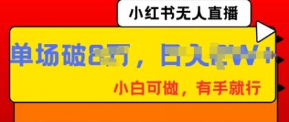小红书无人直播，纯小白可做，有手就行，单场直播销售额破8w-颜夕资源网-第14张图片