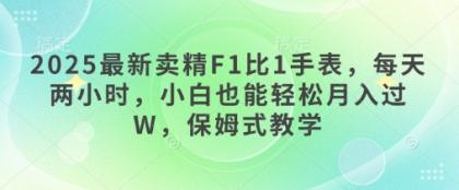 2025最新卖精F1比1手表，每天两小时，小白也能轻松月入过W，保姆式教学-颜夕资源网-第14张图片