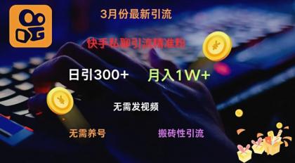 快手视频私信引流方法精准粉，当日奏效不用上传视频打金引流法日引300-颜夕资源网-第14张图片