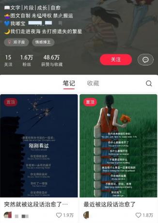小红书治愈文案图文笔记，零门槛，一分钟制作轻松制作爆款作品月入万元-颜夕资源网-第15张图片