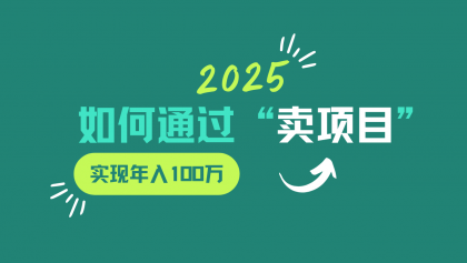 2025年如何通过“卖项目”实现年入100w-颜夕资源网-第14张图片
