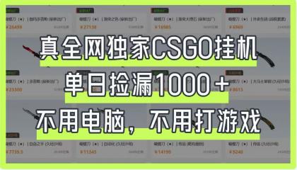 CSGO挂机，单日捡漏1000+，不用电脑，不用养号-颜夕资源网-第14张图片