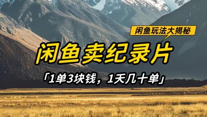 闲鱼卖纪录片，简单又赚钱的小项目，1单3块钱 1天几十单-颜夕资源网-第14张图片