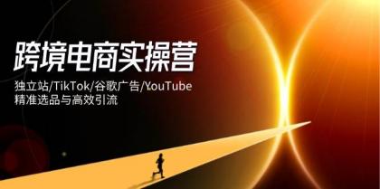跨境电商实操营：独立站/TikTok/谷歌广告/YouTube，精准选品与高效引流-颜夕资源网-第14张图片