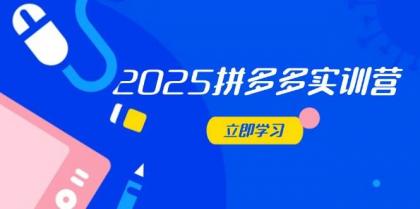 2025拼多多平台实践营：深入剖析经营重要，助推电商人快速升级-颜夕资源网-第14张图片