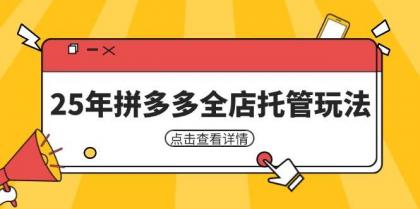 25年拼多多全店托管玩法，矩阵动销裂变玩法如何低风险盈利 新手运营秘籍-颜夕资源网-第14张图片