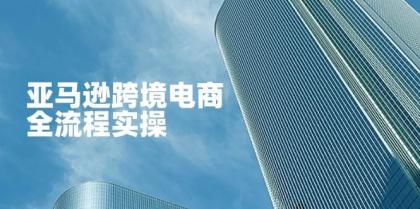 亚马逊跨境电商全流程实操，教你从零开始，掌握店铺运营与广告技巧-颜夕资源网-第14张图片
