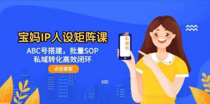 宝妈IP人设矩阵课：ABC号搭建，批量SOP，私域转化高效闭环-颜夕资源网-第14张图片