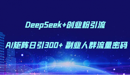 DeepSeek+创业粉引流 AI矩阵日引300+ 副业人群流量密码-颜夕资源网-第14张图片