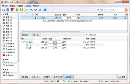 qBittorrent(强大的BT下载工具)v5.1.0.10中文绿色增强版-颜夕资源网-第14张图片