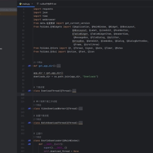【Windows】抖音去水印工具v1.0.8-颜夕资源网-第14张图片