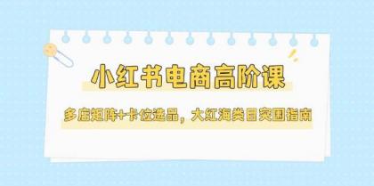 小红书电商高阶课，多店矩阵+卡位选品，大红海类目突围指南（更新5月）-颜夕资源网-第14张图片
