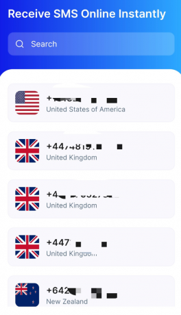 临时虚拟手机号接码用 国内不可用-颜夕资源网-第14张图片
