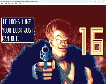 游戏机模拟器FBNeo完整包-颜夕资源网-第14张图片