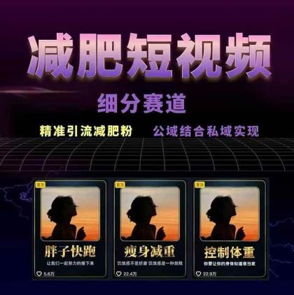 减肥短视频运营实战课：含素材制作、剪映教学，讲精准引流、变现设计与内容模板技巧-颜夕资源网-第15张图片