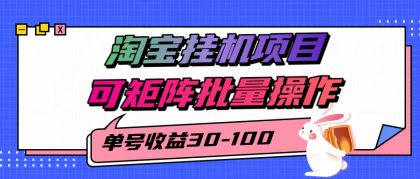 揭秘2025最新淘宝挂机项目，单号30-100，可矩阵批量操作（附工具）-颜夕资源网-第14张图片
