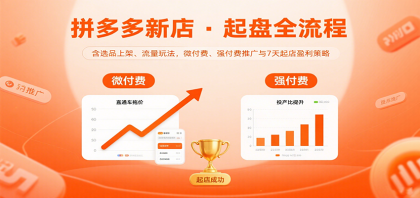 拼多多新店起盘全流程，含选品上架、流量玩法，微付费、强付费推广与7天起店盈利策略-颜夕资源网-第14张图片