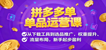 拼多多单品运营课，从下载工具到选品推广，权重提升、流量布局，新手起步盈利-颜夕资源网-第14张图片