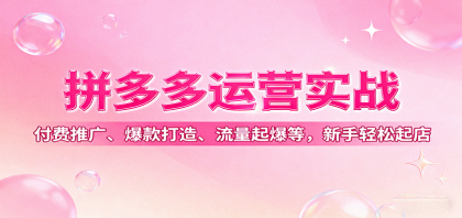拼多多运营实战，付费推广、爆款打造、流量起爆等，新手轻松起店-颜夕资源网-第14张图片