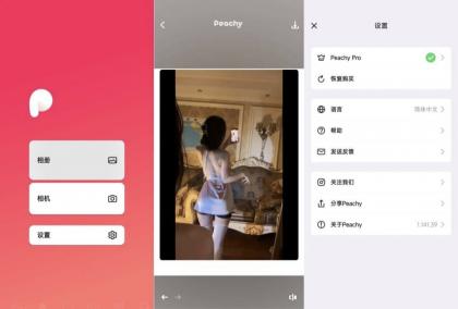 peachy抠图、P图、滤镜解锁会员版-颜夕资源网-第14张图片