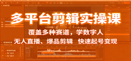 多平台剪辑实操课：覆盖多种赛道，学数字人、无人直播、爆品剪辑，快速起号变现-颜夕资源网-第14张图片