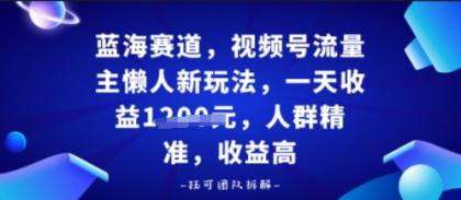 视频号流量主懒人新玩法，一天收益多张，人群精准，收益高-颜夕资源网-第14张图片