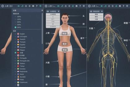 人体系统女性3D-1.0详细介绍女性全身系统～无广版-颜夕资源网-第14张图片