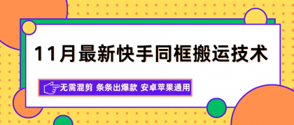 11月最新快手同框搬运技术，无需混剪 条条出爆款 安卓苹果通用-颜夕资源网-第14张图片