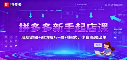 拼多多新手起店课：底层逻辑+避坑技巧+盈利模式，小白高效出单-颜夕资源网-第14张图片