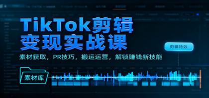 TikTok剪辑变现实战课：素材获取，PR技巧，搬运运营，解锁赚钱新技能-颜夕资源网-第14张图片