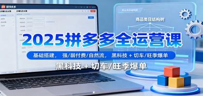 2025拼多多全运营课：基础搭建，强/弱付费/自然流，黑科技 + 切车/旺季爆单-颜夕资源网-第14张图片