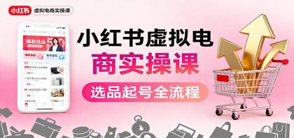 小红书虚拟电商实操课：选品起号+AI 内容创作+店铺运营+引流私域+自动化发笔记-颜夕资源网-第14张图片