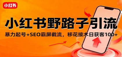 小红书野路子引流，暴力起号+SEO霸屏截流，移花接木日获客100+-颜夕资源网-第14张图片