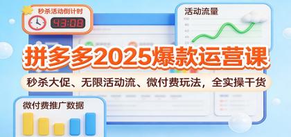 拼多多2025爆款运营课：秒杀大促、无限活动流、微付费玩法，全实操干货-颜夕资源网-第14张图片