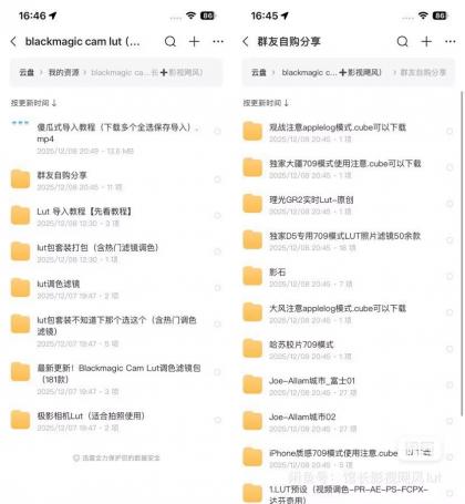 Blackmagic Cam Lut包影视飓风+馆长Lut 木木等滤镜包-颜夕资源网-第15张图片