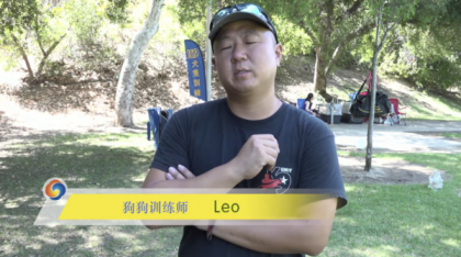 宠物训练-训狗教程Dog Training-颜夕资源网-第14张图片