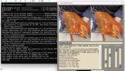 视频硬字幕去除器 v1.1.0-颜夕资源网-第14张图片