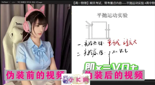 视频伪装大师VideoCamouflageMaster v1.0.0-颜夕资源网-第16张图片