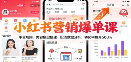 小红书营销爆单课：平台规则、内容模型搭建、投流数据分析，转化率提升500%-颜夕资源网-第14张图片